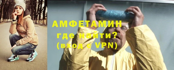 шишки Верхний Тагил