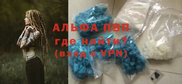ПСИЛОЦИБИНОВЫЕ ГРИБЫ Верея