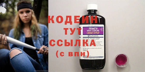 ПСИЛОЦИБИНОВЫЕ ГРИБЫ Верея