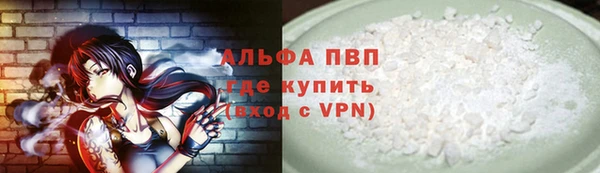 ПСИЛОЦИБИНОВЫЕ ГРИБЫ Верея