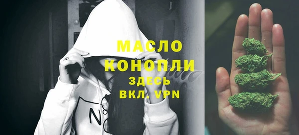 шишки Верхний Тагил