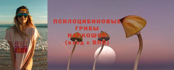 шишки Верхний Тагил