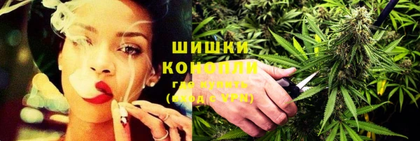 ПСИЛОЦИБИНОВЫЕ ГРИБЫ Верея