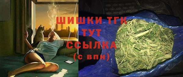 шишки Верхний Тагил
