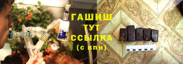 шишки Верхний Тагил