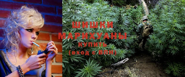 ПСИЛОЦИБИНОВЫЕ ГРИБЫ Верея