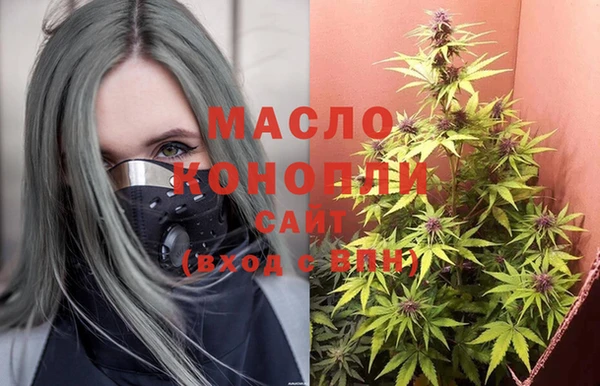 шишки Верхний Тагил