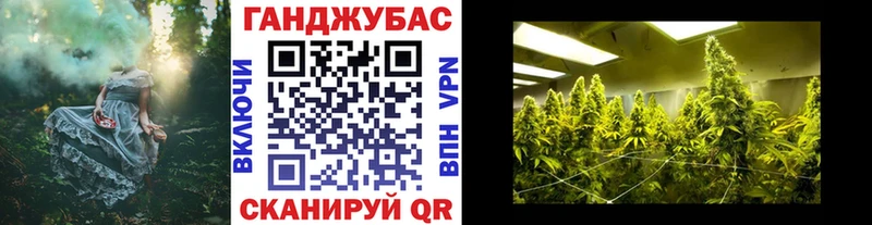 как найти наркотики  ОМГ ОМГ ONION  Шишки марихуана сатива  Елец 